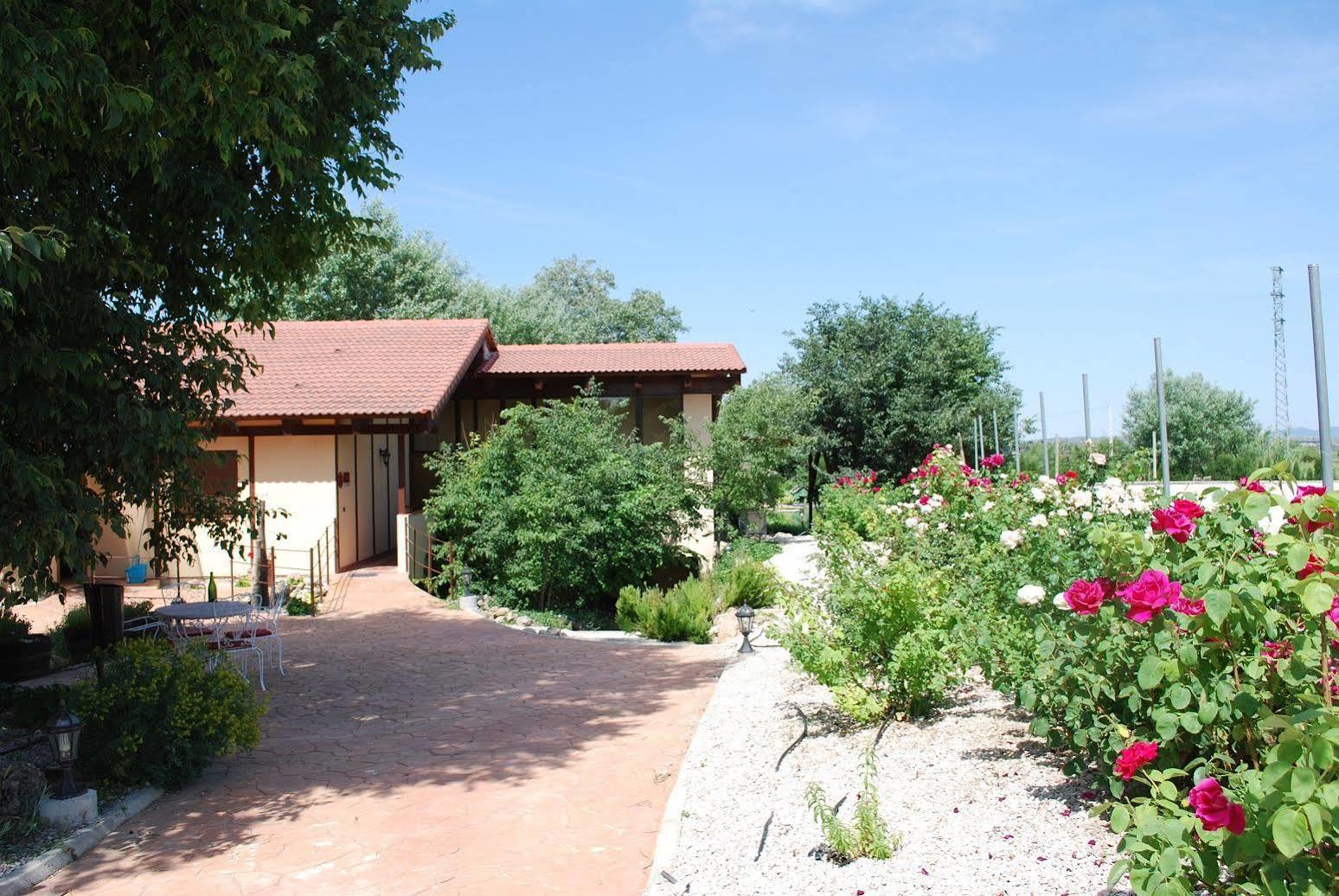 Pago De Tharsys Guest House Requena Exterior photo